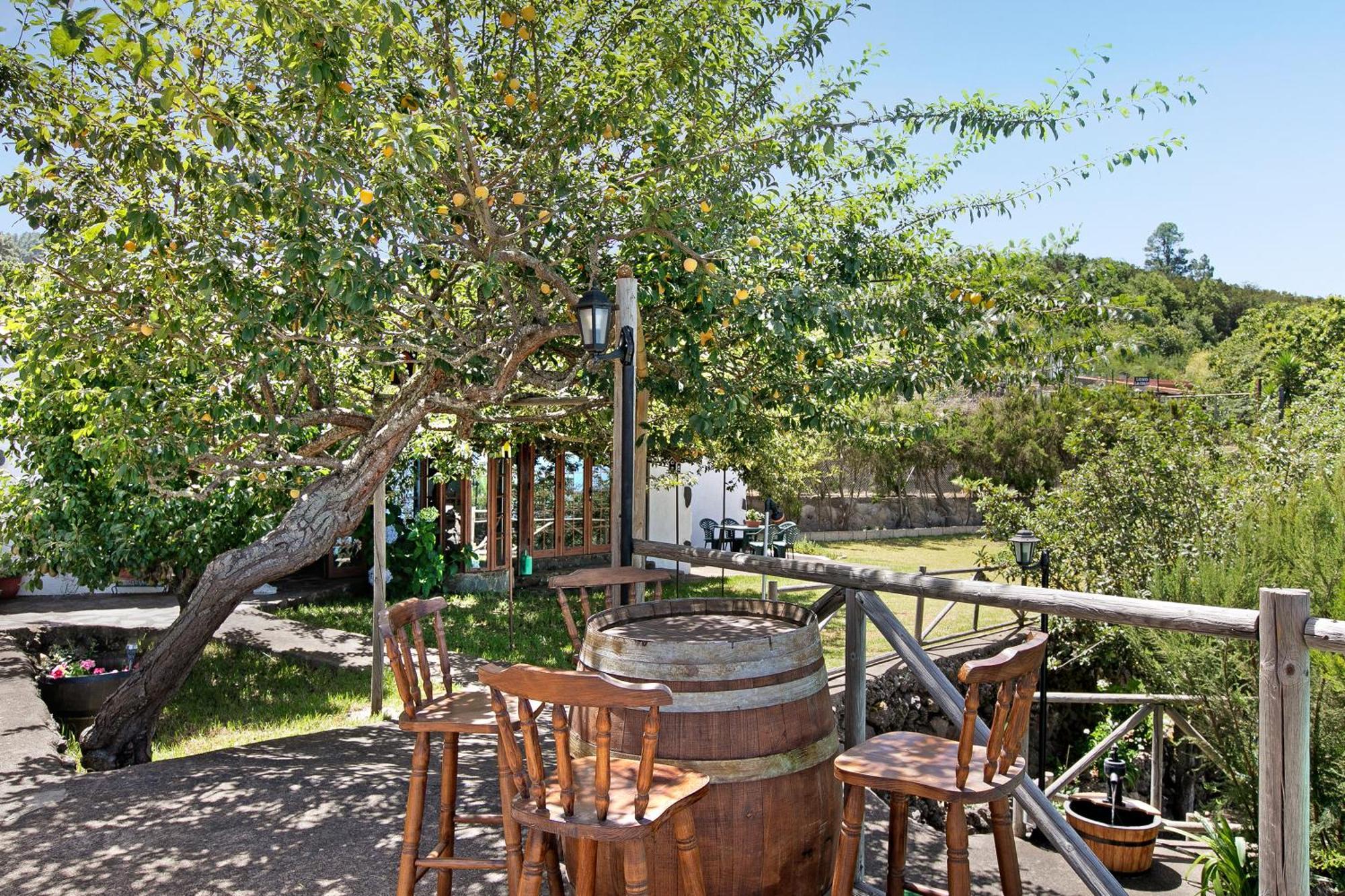 Finca Las Carmenes Icod De Los Vinos Exteriér fotografie